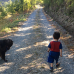 campi estivi vesime