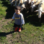 Educazione parentale Vesime